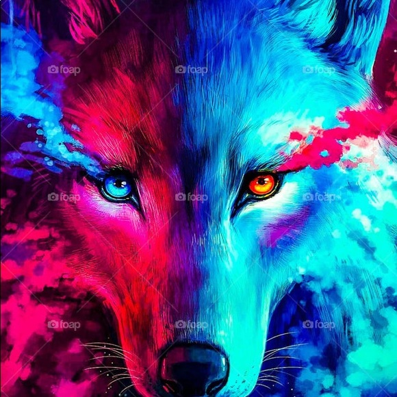 Meet your Posher, Jack - Picture 1 of 1